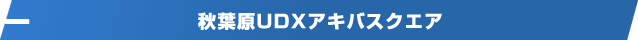 秋葉原UDXアキバスクエア